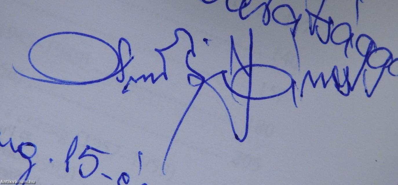 Szentes és a repülés (dedikált példány)