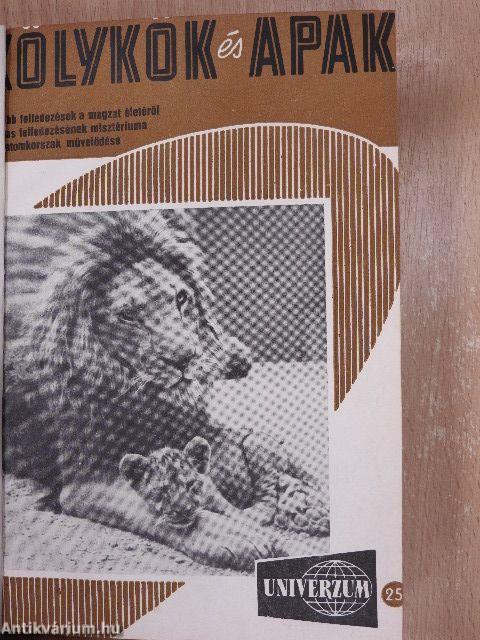 Univerzum (vegyes számok) (6 db)