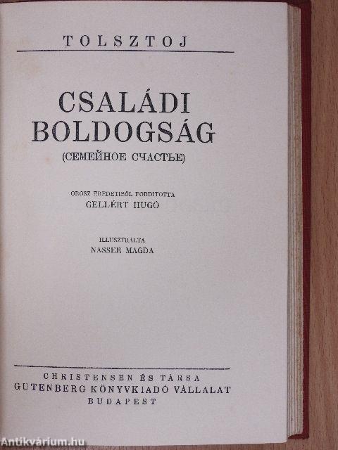 Ifjuságom regénye I-III./Családi boldogság