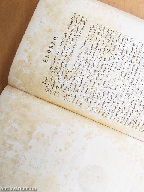 Magyar irók II. (töredék)