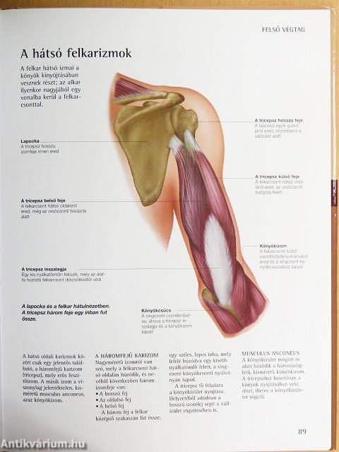 Az emberi test kézikönyve