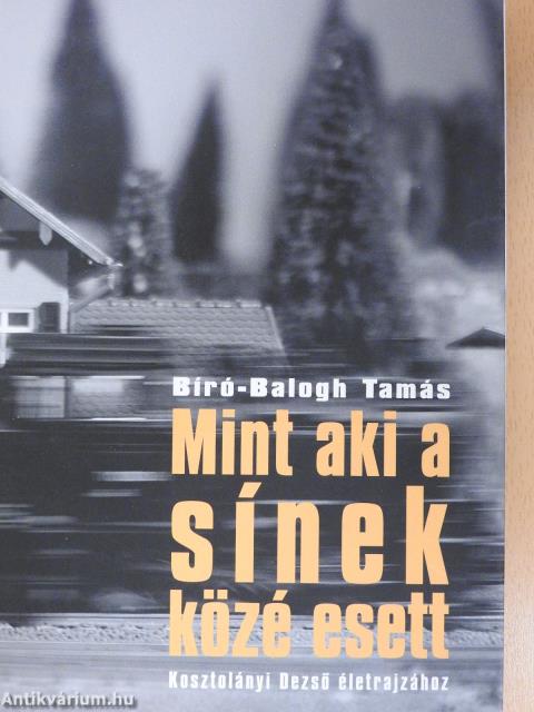 Mint aki a sínek közé esett (dedikált példány)