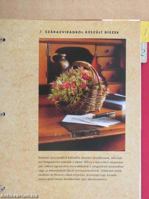 Fantázia és forma I-V.