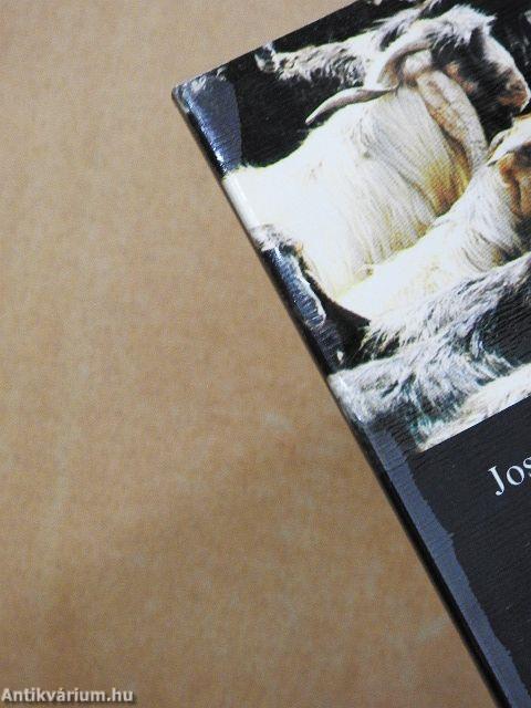 Akit megtalált a kegyelem/Könyörülő és irgalmas az Úr