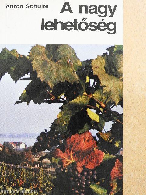 A nagy lehetőség