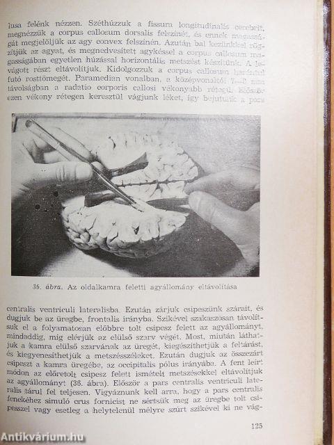 Útmutató boncolási gyakorlatokhoz