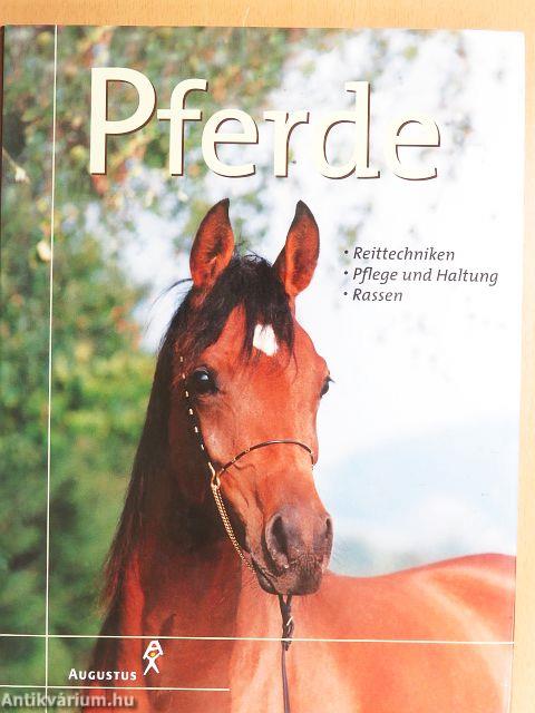 Pferde