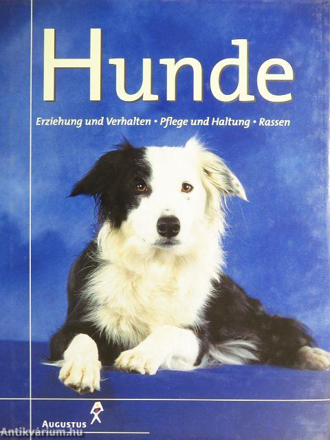 Hunde