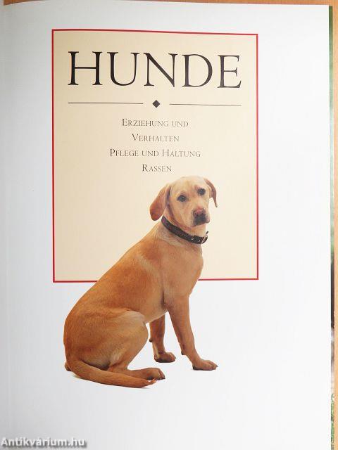 Hunde