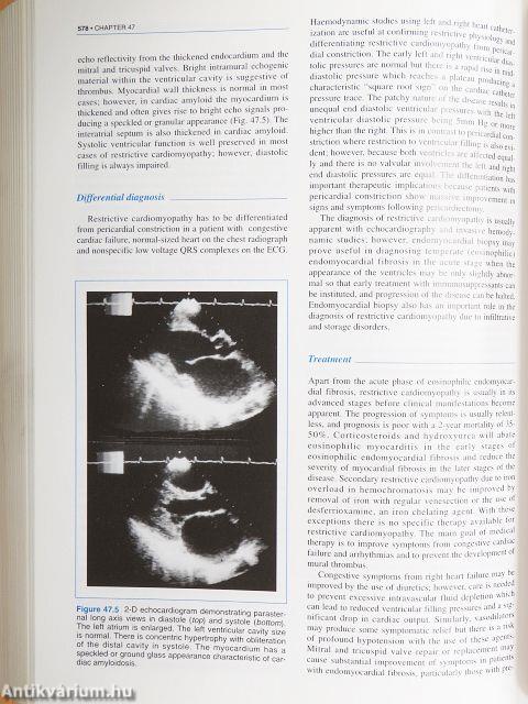 Cardiology