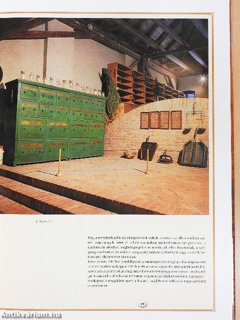 A magyar gyógyszerészet képes reklámtörténete 1945-ig