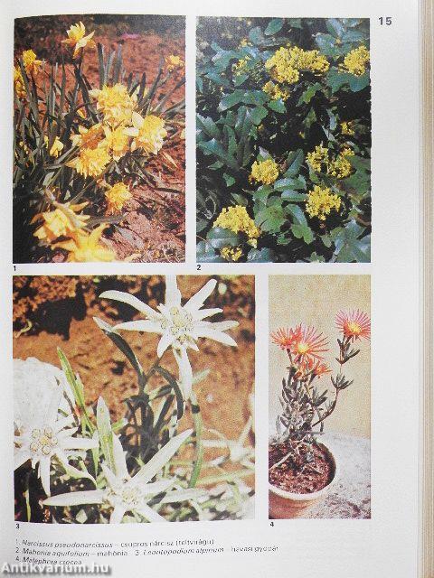 A növénykedvelő kislexikona