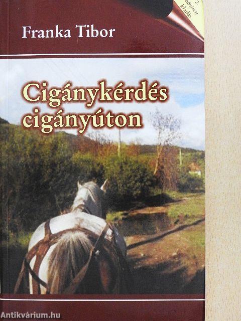 Cigánykérdés cigányúton