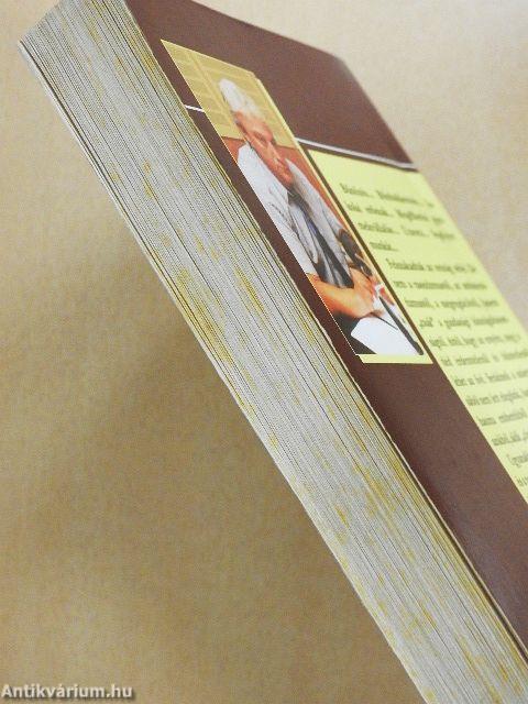 Cigánykérdés cigányúton