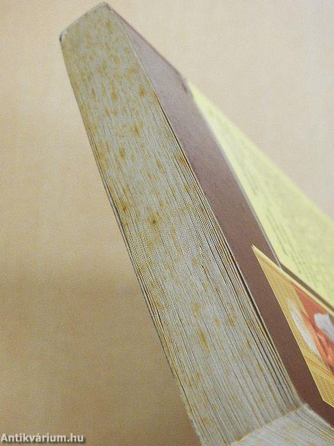 Cigánykérdés cigányúton