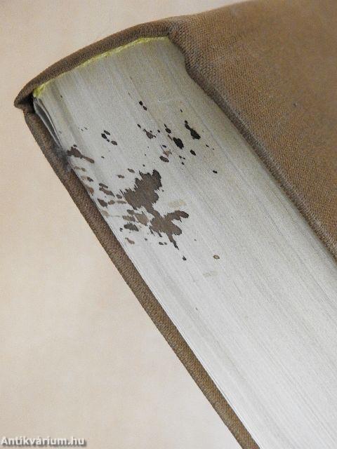 A keresztény élethivatás