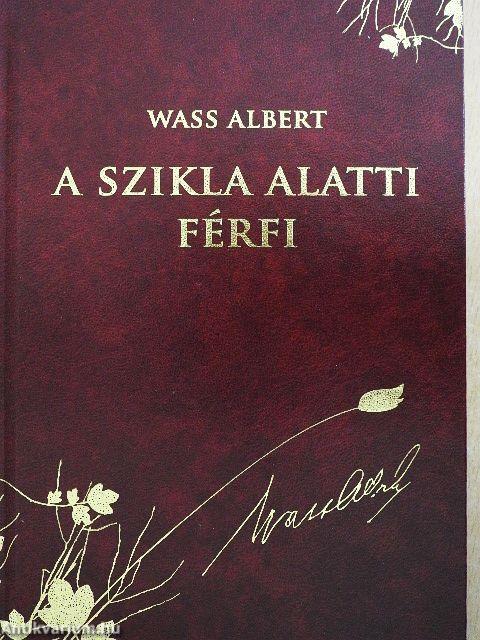 A szikla alatti férfi