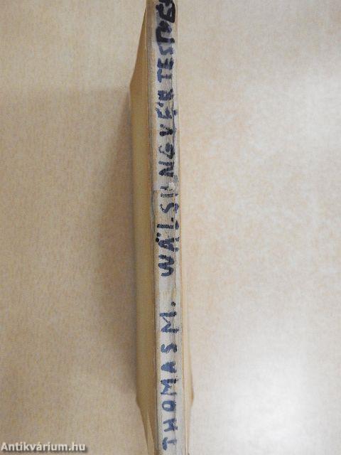 Wälsungvér testvérek