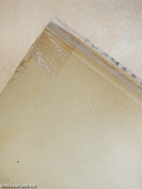 Wälsungvér testvérek