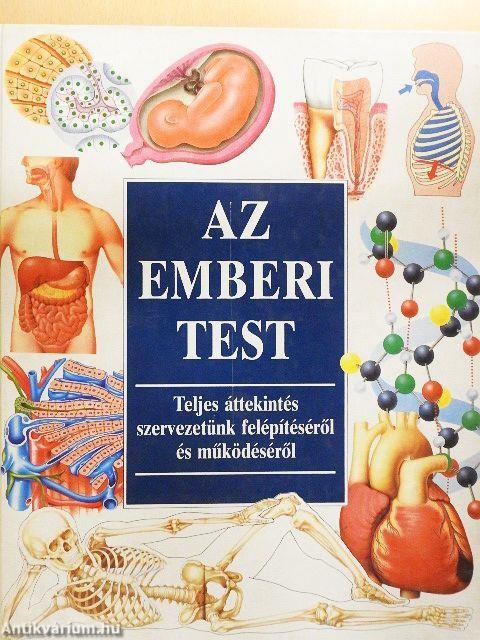 Az emberi test