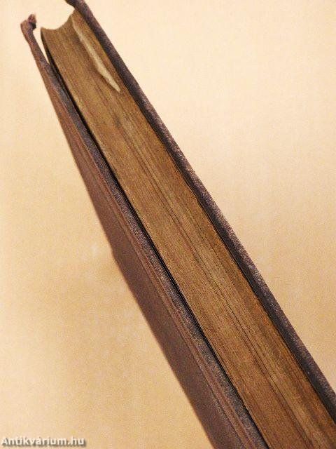 A magyar nemzet története IV.