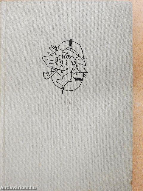 Huckleberry Finn kalandjai