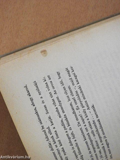 Huckleberry Finn kalandjai