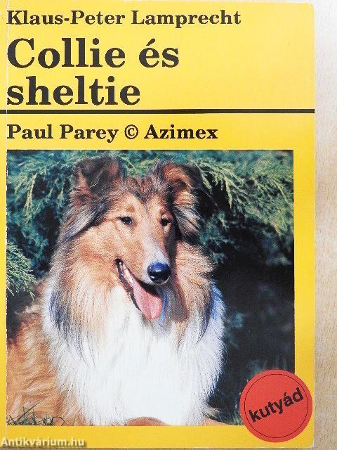 Collie és sheltie