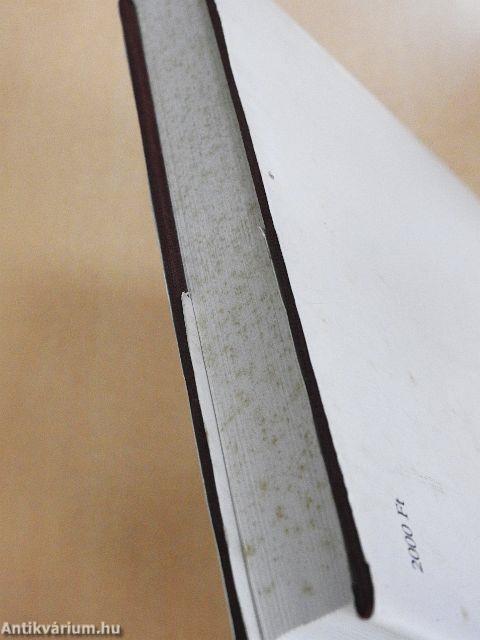 Szerda reggel 2001-2002