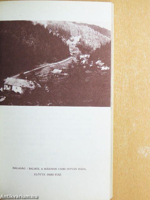 Pontot, vesszőt nem ismerek, de a szó mind igaz