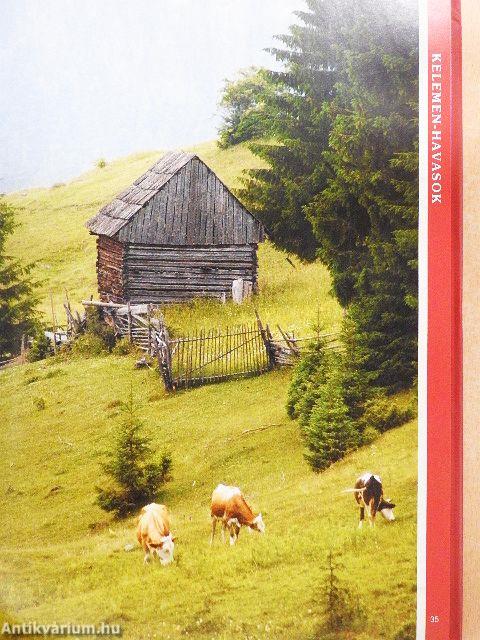 Erdély száz csodája