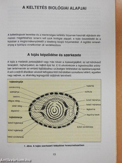 A keltetés kézikönyve