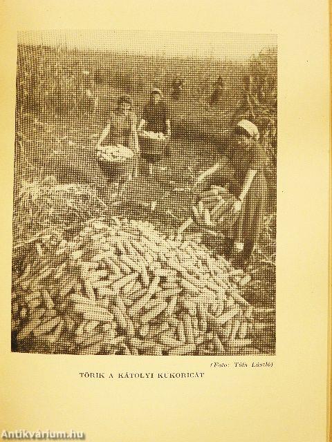 Az új élet útján