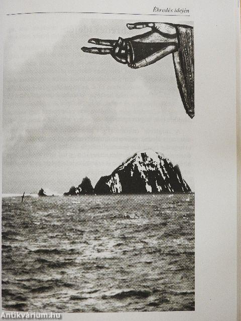 A szelídség kötelékei