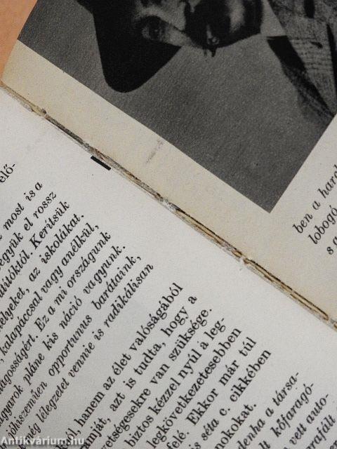 Ady Endre alkotásai és vallomásai tükrében