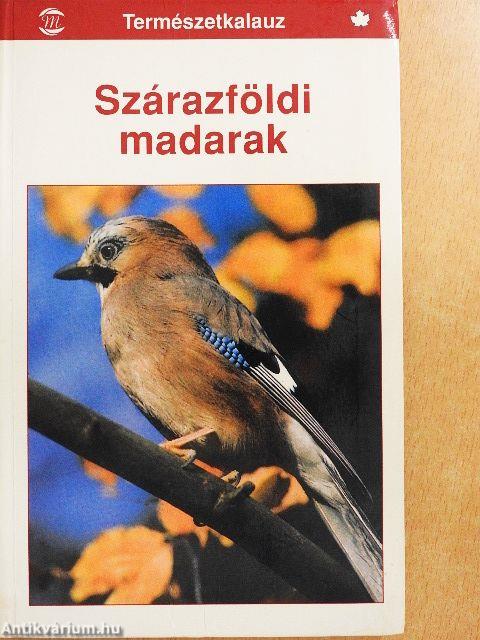 Szárazföldi madarak