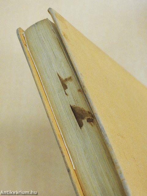 Egy bizonyos Remény utca