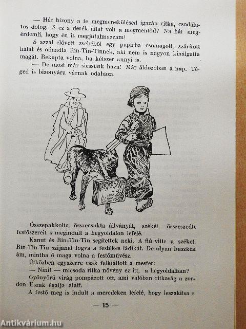 Rin-Tin-Tin és az ő kis gazdája