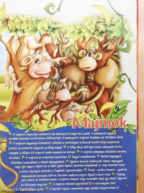 Üdvözlünk az állatkertben