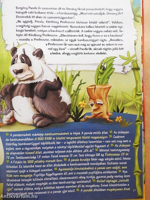 Üdvözlünk az állatkertben