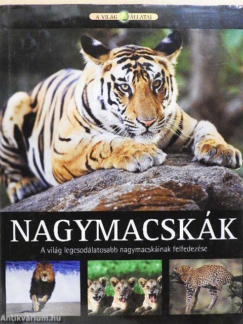 Nagymacskák