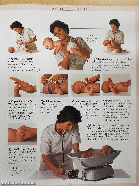 Kismamák nagykönyve