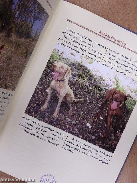 Fénytündér és a hollólányok