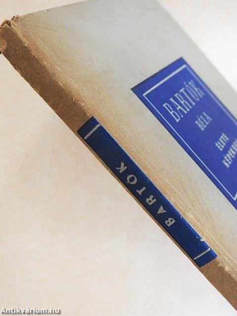 Bartók Béla élete képekben