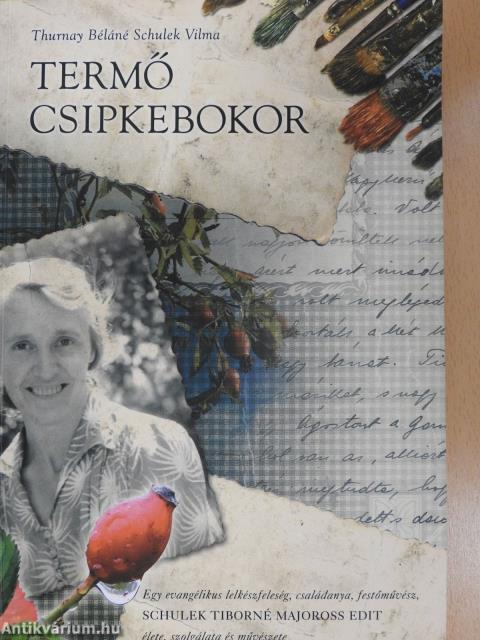 Termő csipkebokor (dedikált példány)