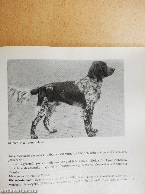 A kutya tenyésztése, tartása, kiképzése