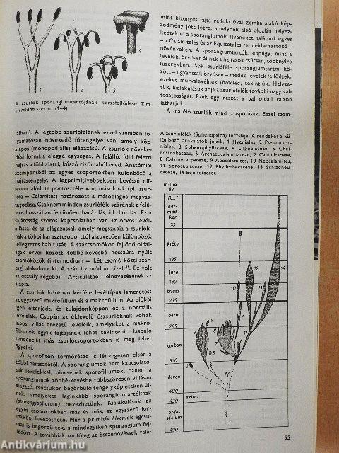 Urania Növényvilág - Magasabbrendű növények I.