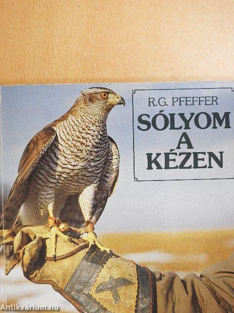 Sólyom a kézen