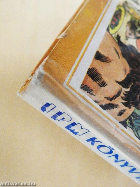 A világ felfedezése rajzos regényekben