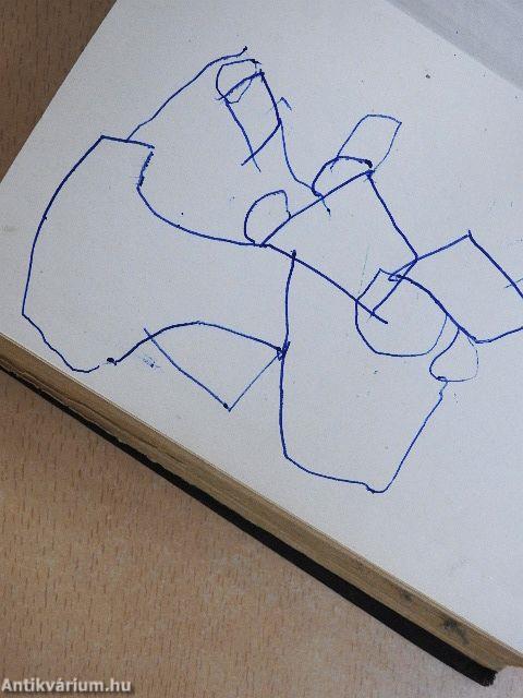 Francia-magyar szótár